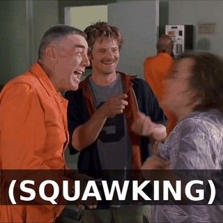 (SQUAWKING)
