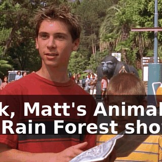 Look, Matt's Animals of the Rain Forest show