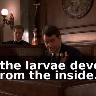 as the larvae devour it from the inside.