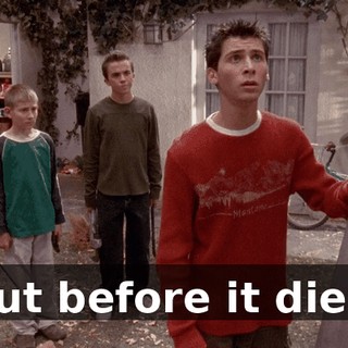 But before it dies,