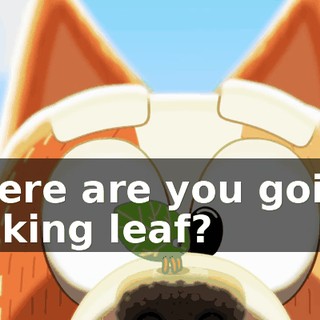 Where are you going, walking leaf?