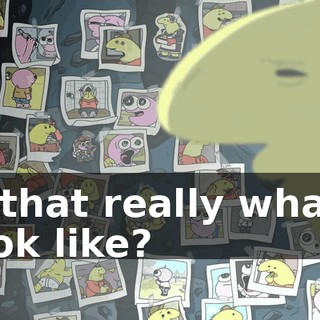 Is that really what I look like?