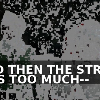 AND THEN THE STRAIN WAS TOO MUCH--