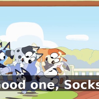 Good one, Socks!