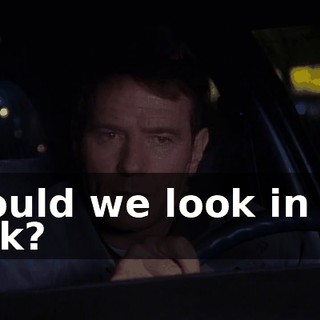Should we look in the park?