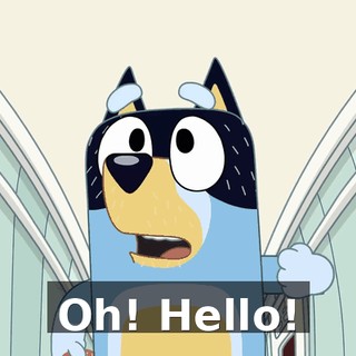 Oh! Hello!