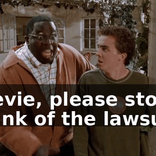 Stevie, please stop! Think of the lawsuit!
