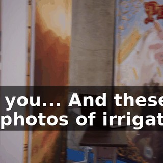 Can you... And these are photos of irrigation,
