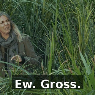 edd4c93b-866a-449d-8125-0b980f1617a8.gif