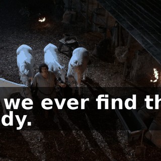 if we ever find the lady.