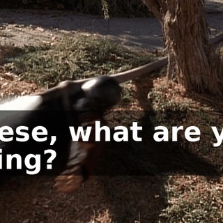 Reese, what are you doing?