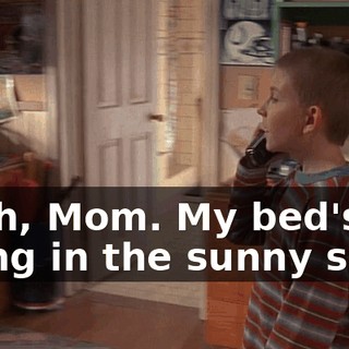 Yeah, Mom. My bed's going in the sunny spot.