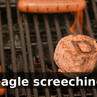 [eagle screeching]