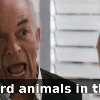 ee519efe-893a-46aa-a476-3d96c7e1b39f.gif