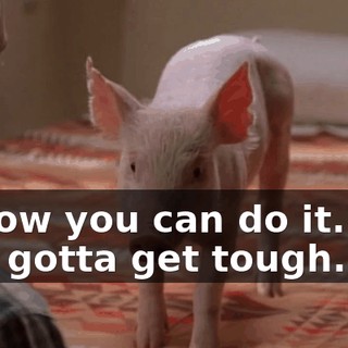I know you can do it. You just gotta get tough.