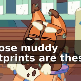 Whose muddy footprints are these?!