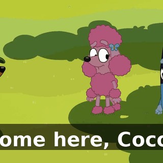 Come here, Coco!
