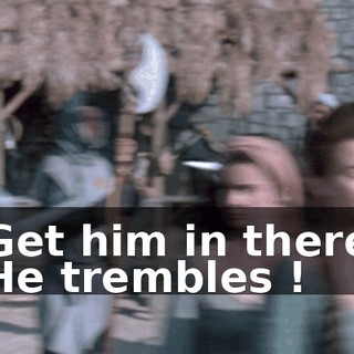 - Get him in there ! - He trembles !