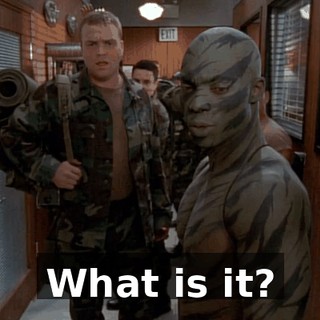 What is it?