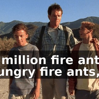 A million fire ants, hungry fire ants,