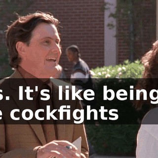 Yes. It's like being at the cockfights