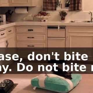 ef731423-a9dd-4d2f-ac4d-a7c2147824b9.gif