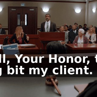 Well, Your Honor, this dog bit my client.