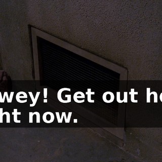 Dewey! Get out here right now.