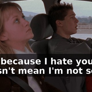 Just because I hate you doesn't mean I'm not sorry.
