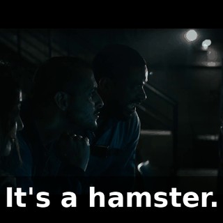 f0105f5c-98e1-4eca-87c2-63ccc5ccfdef.gif