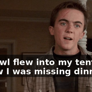 An owl flew into my tent. If I knew I was missing dinner,