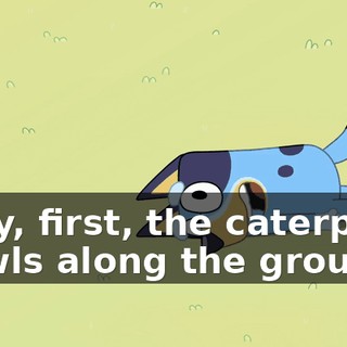 f0176e71-f1ff-4faa-882e-830f89cc99e5.gif