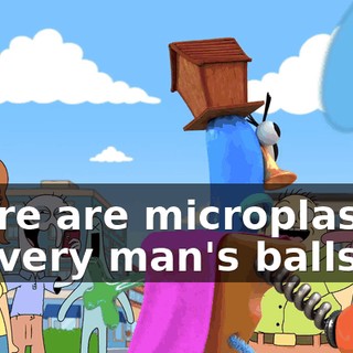 There are microplastics in every man's balls