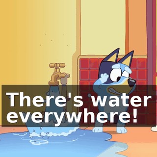 There's water everywhere!