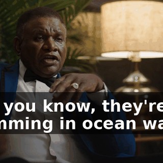 but, you know, they're not swimming in ocean water.