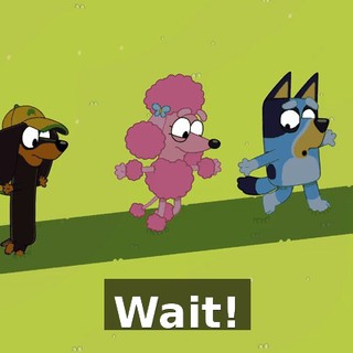 Wait!