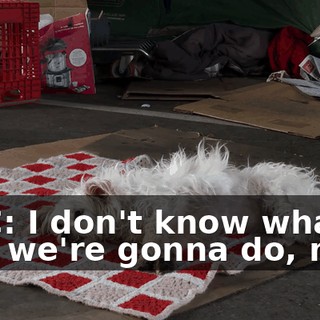f083cf57-b506-4ba6-9829-fb63b2d76415.gif