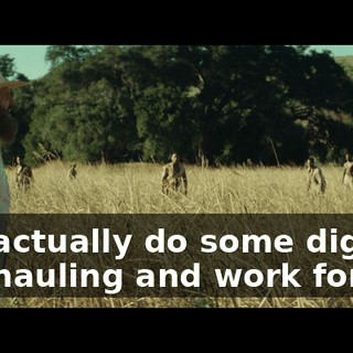 f0b6571f-334f-4386-8713-de0d83810ba1.gif
