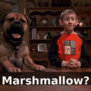Marshmallow?