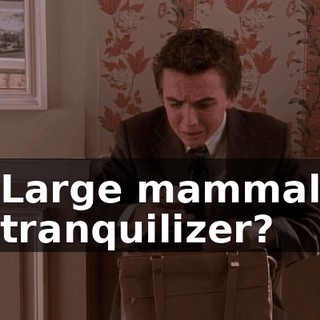 Large mammal tranquilizer?