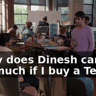 Why does Dinesh care so much if I buy a Tesla?