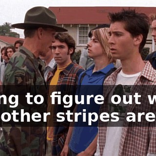 trying to figure out what the other stripes are for.