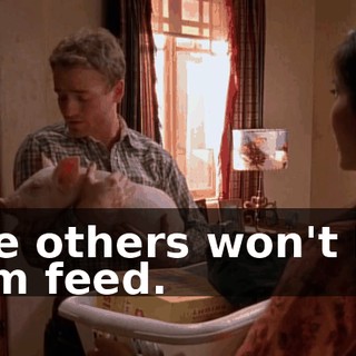 the others won't let him feed.