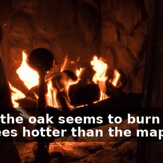 Well, the oak seems to burn a few degrees hotter than the maple.