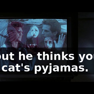 ... but he thinks you're the cat's pyjamas.