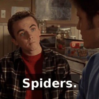 Spiders.