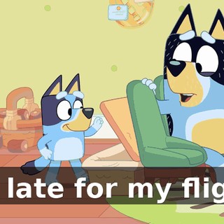 I'm late for my flight!
