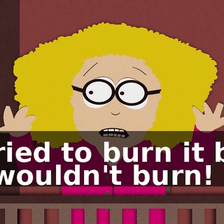 I tried to burn it but it wouldn't burn!