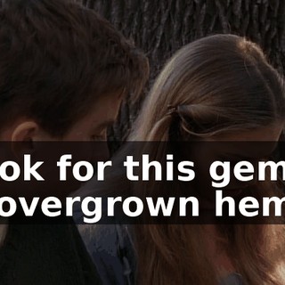 "Look for this gem on an overgrown hem.