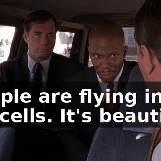 People are flying into jail cells. It's beautiful.